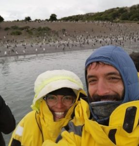 Cosa vedere a Ushuaia - Pinguini di Magellano