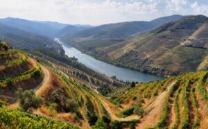 La Valle del Douro: un viaggio alla scoperta della natura
